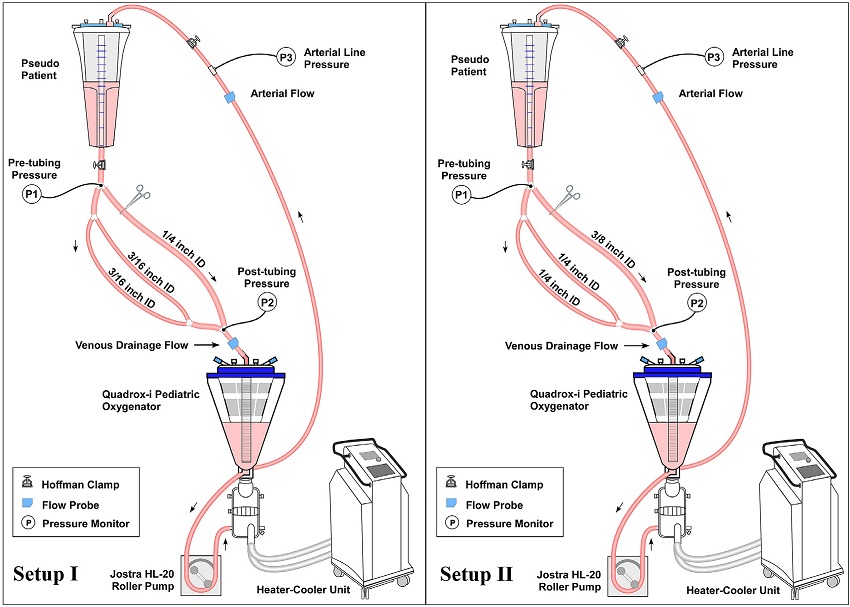 Setup I allows for testing Circuits A and B. Setup II allows for
								testing Circuits C and D. Heater-cooler units allowed for
								experiments to be done at 35&deg;C and 28&deg;C. Hoffman clamp on the
								circuit arterial limb allowed for a constant post-cannula
								pressure.