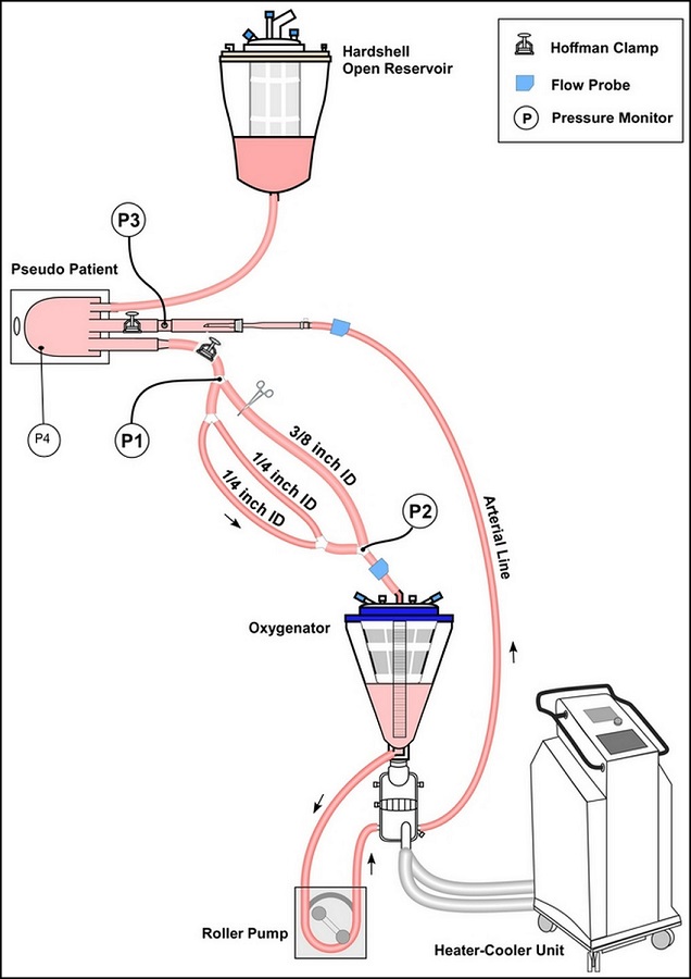 Setup III for testing Circuits C and D using a soft bag as
								pseudopatient. During this experiment, venous pressure was kept at a
								constant range of 3 to 4 mmHg, simulating a controlled venous
								pressure more similar to a clinical scenario. Heater-cooler units
								allowed for experiments to be done at 35&deg;C and 28&deg;C. Hoffman clamp
								on the circuit arterial limb allowed for a constant post-cannula
								pressure of 50 mmHg.