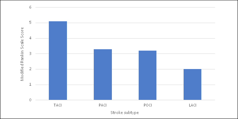 Modified Rankin Scale scores according to OCSP
							classification.