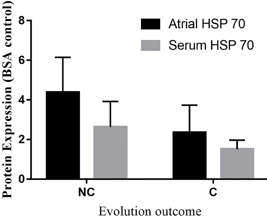Atrial and serum heat-shock protein 70 (HSP 70) expression in the
							complicated (C) and non-complicated (NC) group. BSA=body surface
							area