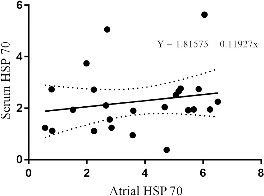 Linear regression between serum and atrial heat-shock protein 70
							(HSP) 70 expression.