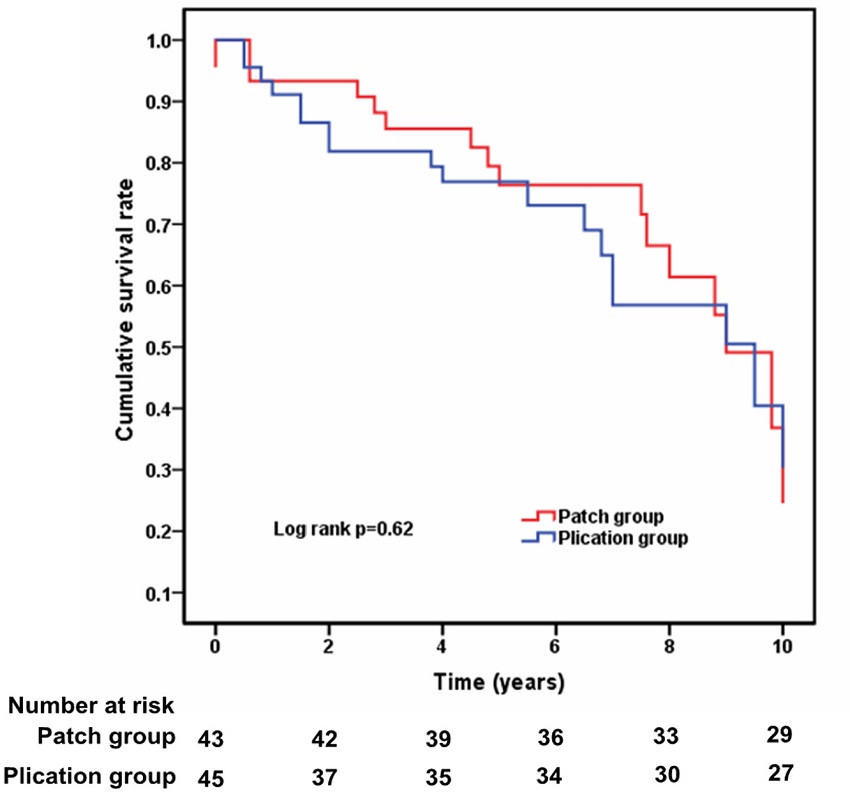 Estimated Mantel-Cox survival curves for two matched
								patients.