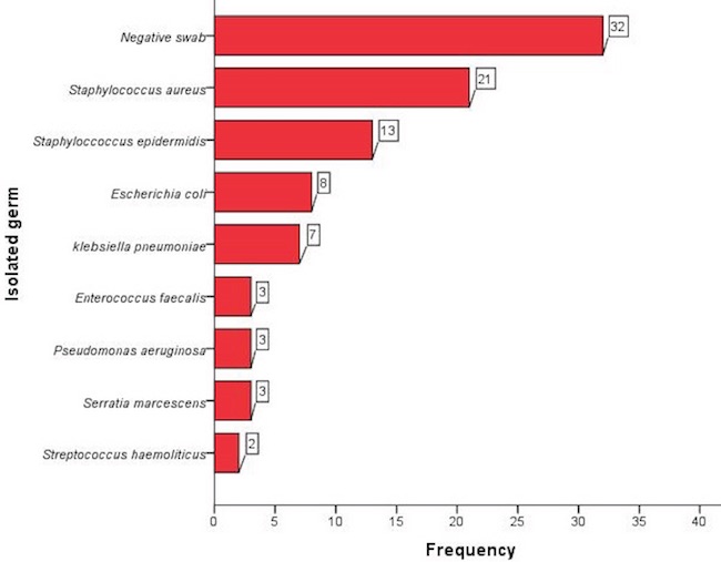 Diagram showing the absolute frequency of negative cultures and isolated germs in the study population.