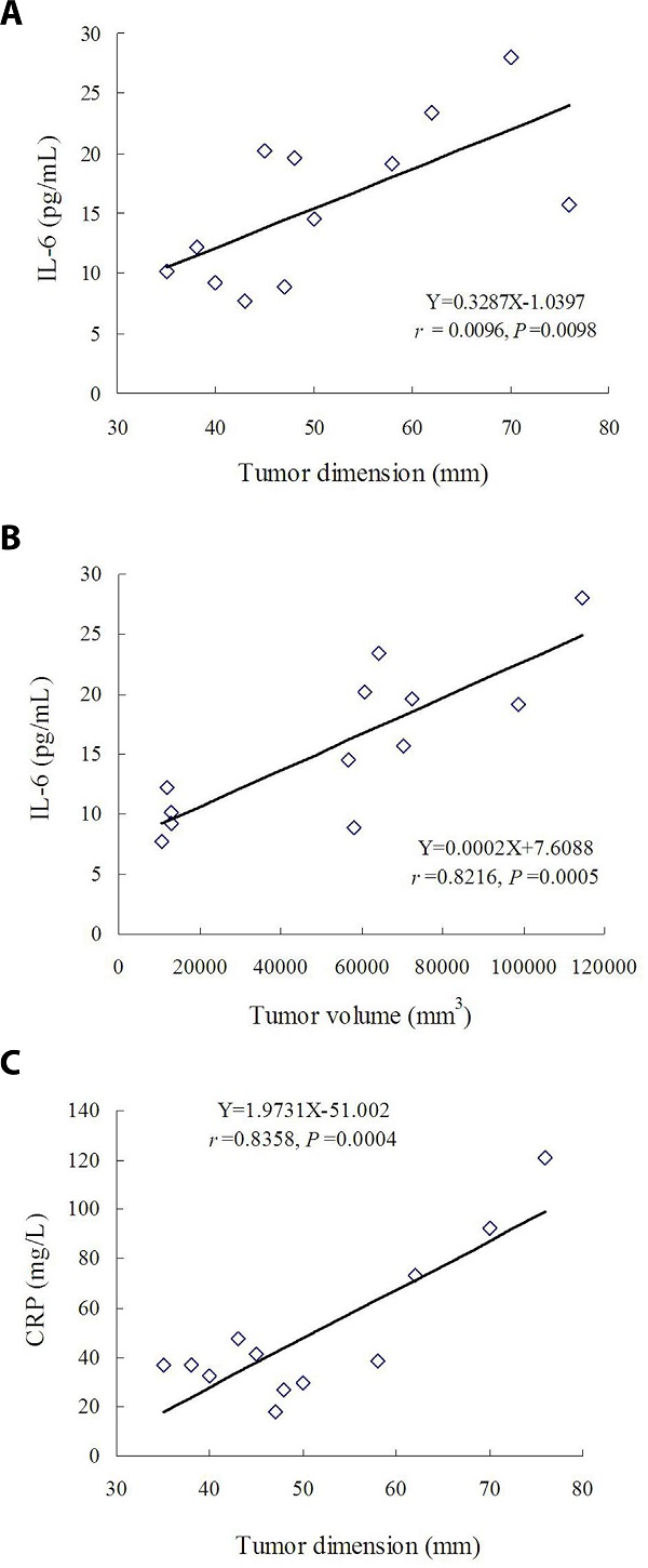 Correlation between preoperative circulating biomarkers and tumor
								size: (A) close direct correlation between preoperative
								interleukin-6 (IL-6) levels and maximal dimension of cardiac myxoma;
								(B) close direct correlation between preoperative IL-6 levels and
								volume of cardiac myxoma; and (C) close direct correlation between
								preoperative C-reactive protein (CRP) levels and maximal dimension
								of cardiac myxoma.