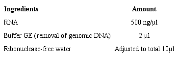 Reverse transcriptase PCR mixture for obtaining cDNA from
mRNA.
