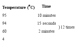 Routine PCR protocol for ST2 expression level.