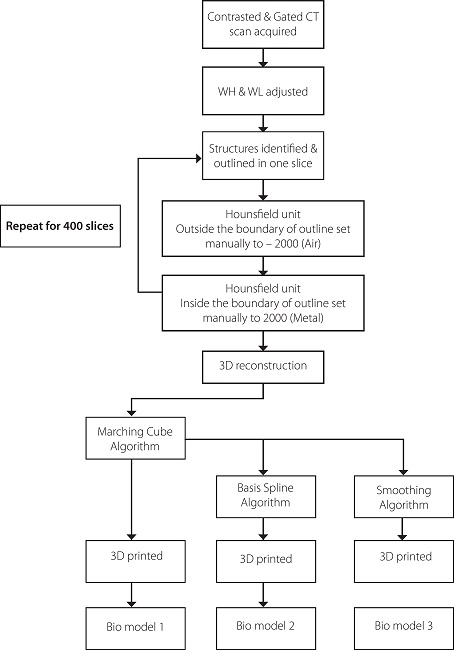Process flow of the study. 3D=three-dimensional; CT=computed
							tomography; WH=wave height; WL=wavelength