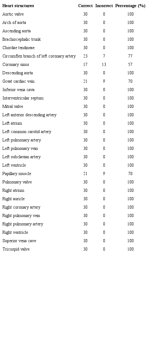 Identification of heart structures by clinicians (n=30).