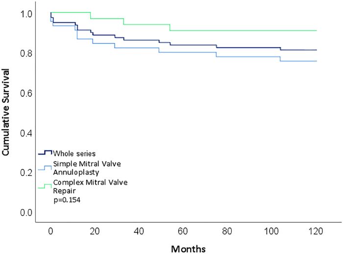 Cumulative survival probabilities. Kaplan-Meier estimate of
                                survival function comparing whole series, FMR (simple), and DMR
                                (complex) groups. 