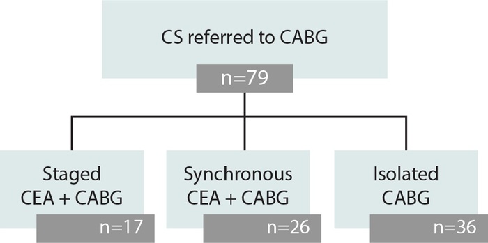Enrollment and treatment assignment. CABG=coronary artery bypass grafting; CEA=carotid endarterectomy; CS=carotid stenosis