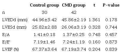 Comparison of parameters detected by colour Doppler echocardiography between the groups.