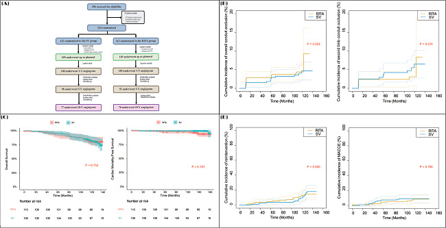 Long-term angiographic and clinical results of the SAVE RITA
								trial. (A) Summary flow diagram of patients. Comparison of (B)
								cumulative incidence of the overall conduit and second-limb conduit
								occlusion, (C) overall survival and cardiac mortality-free survival,
								(D) cumulative incidence of reintervention and major adverse cardiac
								and cerebrovascular events (MACCE) between the saphenous vein (SV)
								and right internal thoracic artery (RITA) groups. ITA=internal
								thoracic artery; SAVE RITA=SAphenous VEin versus Right Internal
								Thoracic Artery as a Y-Composite Graft