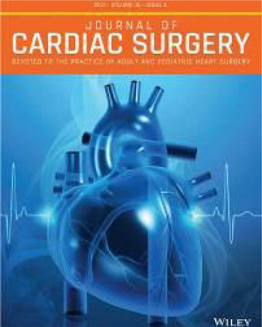 Dr. Salerno is currently the Editor-in-Chief of the Journal of
							Cardiac Surgery.