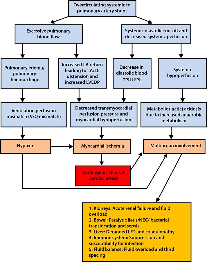 The Role of Shunt Occlusion During Extracorporeal Life Support