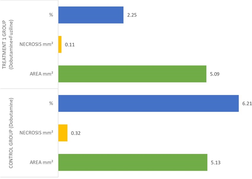 Comparison of necrosis areas of dobutamine and dobutamine +
								fuziline groups.