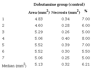 Dobutamine group (control) cardiac necrosis areas.