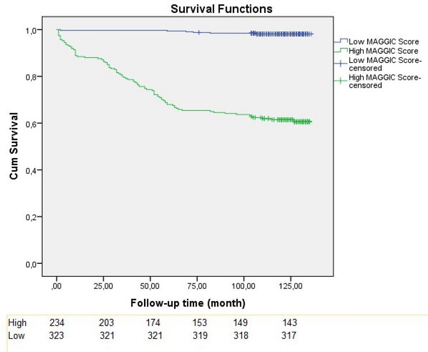 Kaplan-Meier survival curves for follow-up mortality.
							MAGGIC=Meta-Analysis Global Group in Chronic Heart Failure.