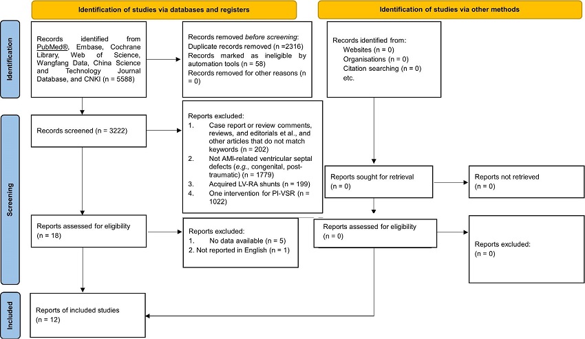 Preferred Reporting Items for Systematic Reviews and Meta-Analyses
							(or PRISMA) flowchart. AMI=acute myocardial infarction; CNKI=China
							National Knowledge Infrastructure; LV-RA=left ventricular-right atrial;
							PI-VSR=postinfarction ventricular septal rupture.