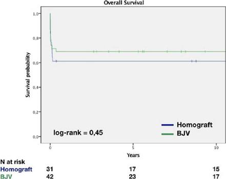 Overall survival. BJV=bovine jugular vein.