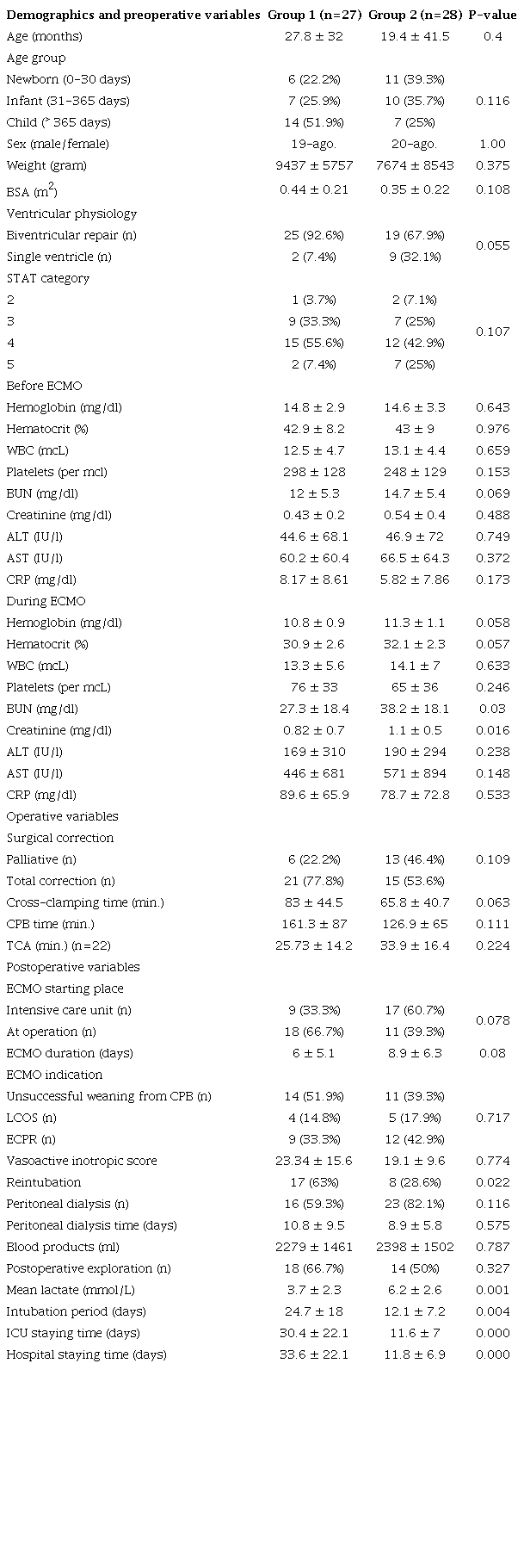 Patients’ demographics and perioperative variables.