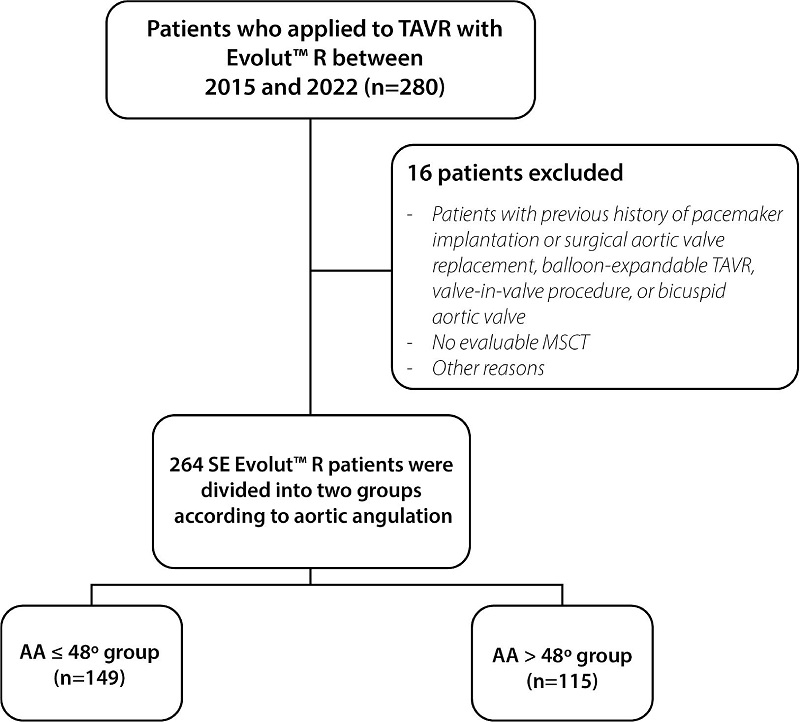 Flowchart of study population. AA=aortic angulation;
MSCT=multislice computed tomography; SE=self-expandable;
TAVR=transcatheter aortic valve replacement.
