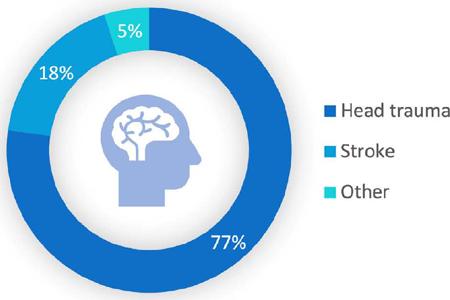 Causes of brain death in heart donors between 2012
                                and2022.