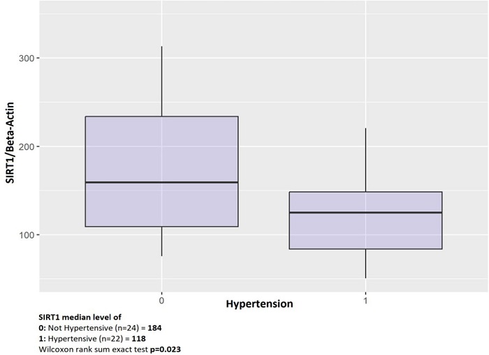 Diagram of hypertension with sirtuin 1 (SIRT1).