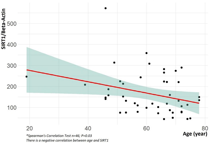 Correlation between sirtuin 1 (SIRT1) and age.