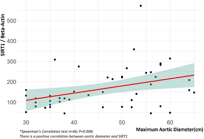 Correlation between sirtuin 1 (SIRT1) and maximum aortic
							diameter.