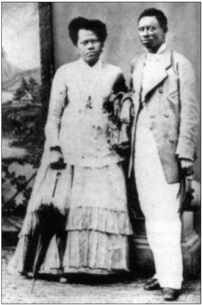 Negros libertos no Brasil em 1879