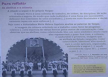 As abelhas e a colmeia