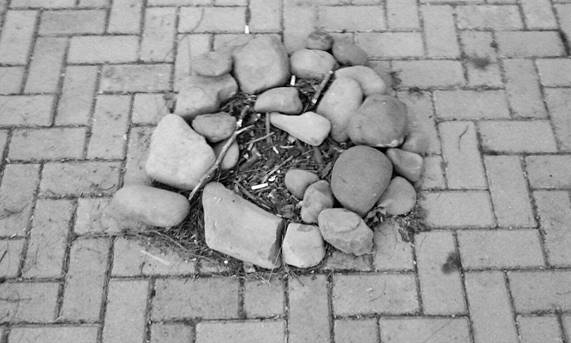 Land Art (Sr. Z&eacute;, 2017)