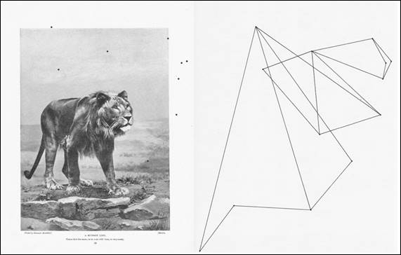 Tra&ccedil;as, pontos e linhas - Living Animals