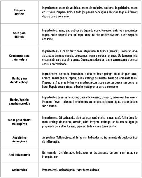 Terap&ecirc;uticas ensinadas por Dona Dion&eacute;ia