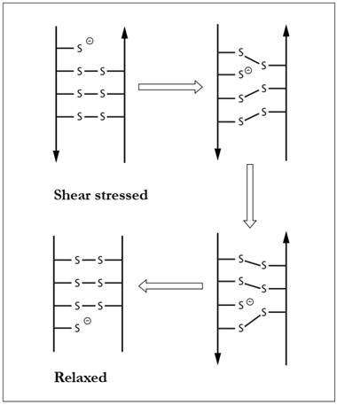 Diferentes etapas da quebra das ligações de dissulfeto no cabelo humano (MELLO, 2010)