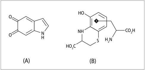 Estruturas Químicas das moléculas de eumelanina (A) e feomelanina (B), mencionadas no Turno 372 (OLIVEIRA et al., 2014, p. 2)