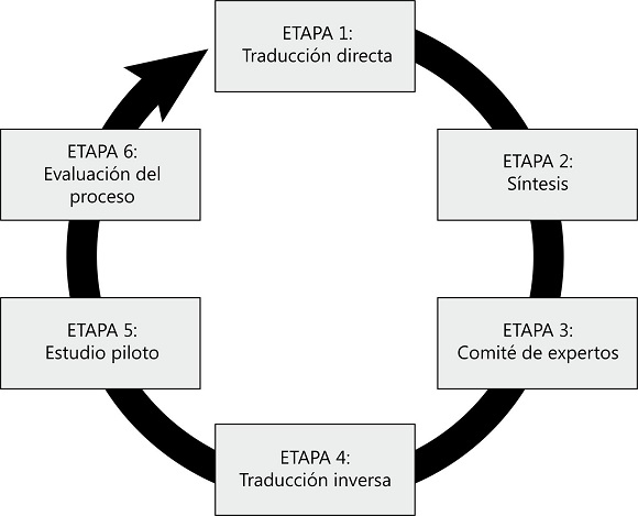 Etapas en la adaptaci&oacute;n transcultural de un cuestionario.