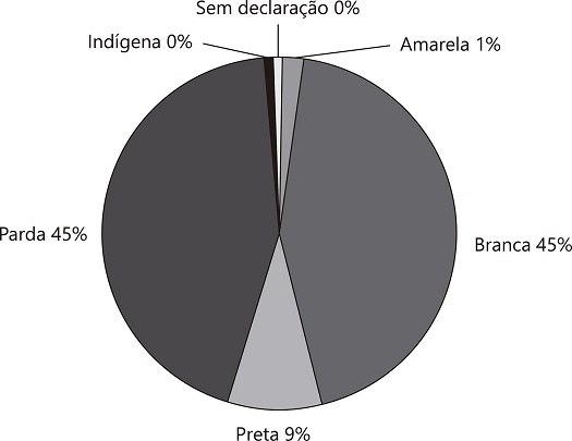 Distribuição percentual da população, por cor/raça – 2015*.