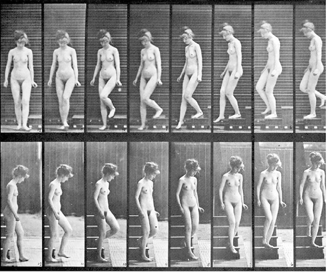Mulher descendo as escadas (Muybridge, circa 1885)