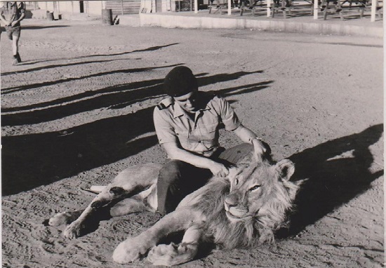 Arquivo pessoal de Adalberto Melo. Angola, 1971-1973.