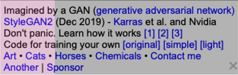 Legenda apresentada no site This Person Does Not Exist3.