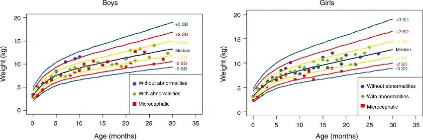 Height evolution in the first 2.5 years of life in a cohort of 29
                                children whose mothers were exposed to Zika virus during pregnancy,
                                five of whom had congenital microcephaly and severe neurological
                                impairment, 11 normocephalic children at birth, with some mild
                                neurological abnormality detected during follow-up, and 13
                                normocephalic children at birth, without neurological abnormalities
                                during follow-up.