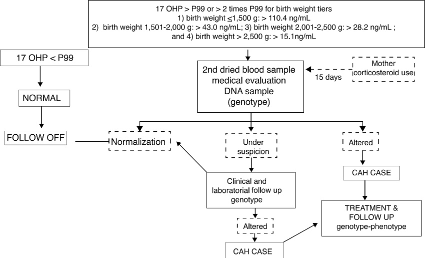 Flowchart of CAH genotype-phenotype evaluation. 17 OHP,
                            17-hydroxyprogesterone; CAH, congenital adrenal hyperplasia.
