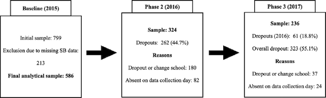Sample and dropouts flow chart.