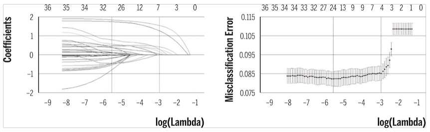 Selecci&oacute;n del par&aacute;metro de regularizaci&oacute;n (Asistencia a museos)