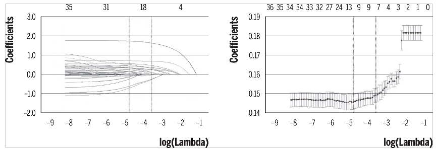 Selecci&oacute;n del par&aacute;metro de regularizaci&oacute;n (Asistencia a lugares de inter&eacute;s hist&oacute;rico)