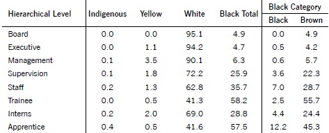 Racial distribution by hierarchical levels at the companies