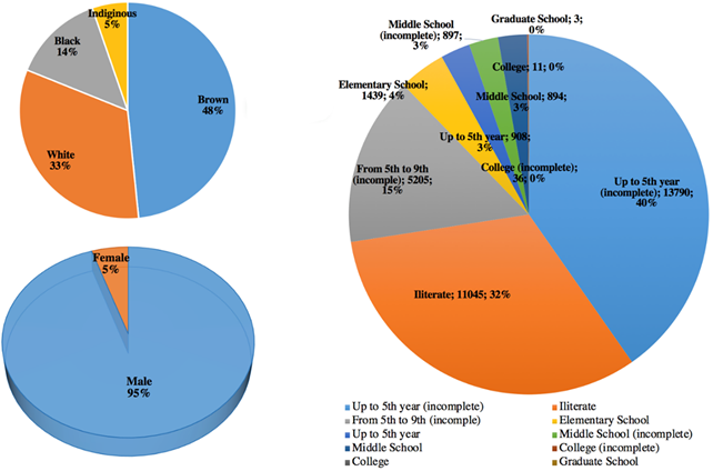 Profile of workers rescued from slave labor between 2003 and 2017 by race/color, gender and level of schooling.