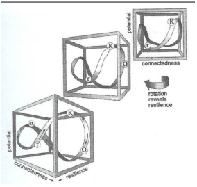 Dimensiones de cambio del ciclo adaptativo
