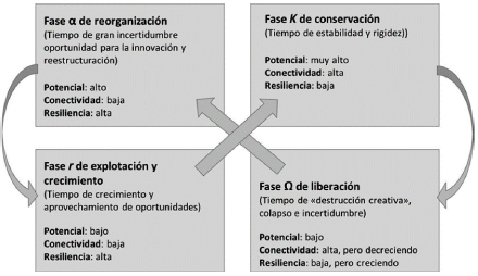 Fases y dimensiones del ciclo adaptativo